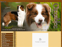 Tablet Screenshot of chocablocbordercollies.com